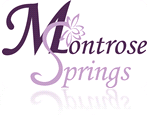 Montrose Springs Skilled Nursing & Wellness Center Logo